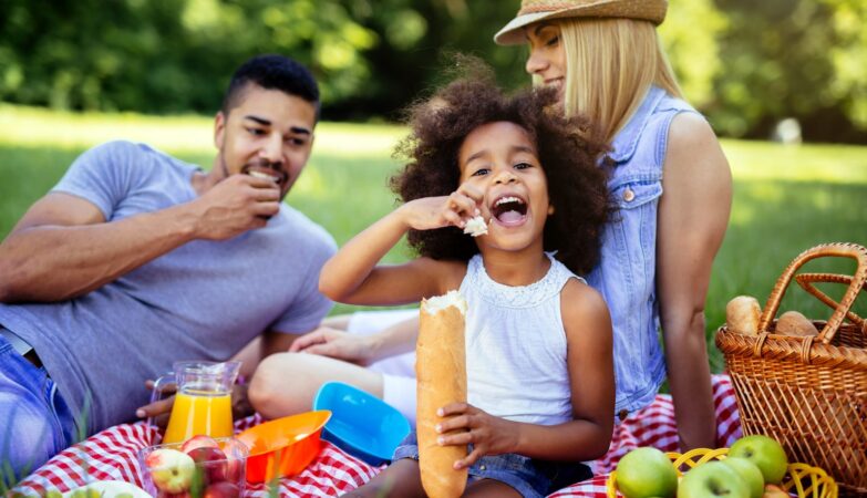 Infrastructure Planning for Parks Hosting